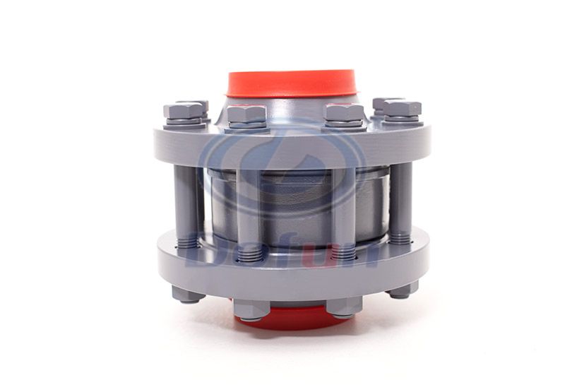 Neck Flange Check Valve NRVD Type