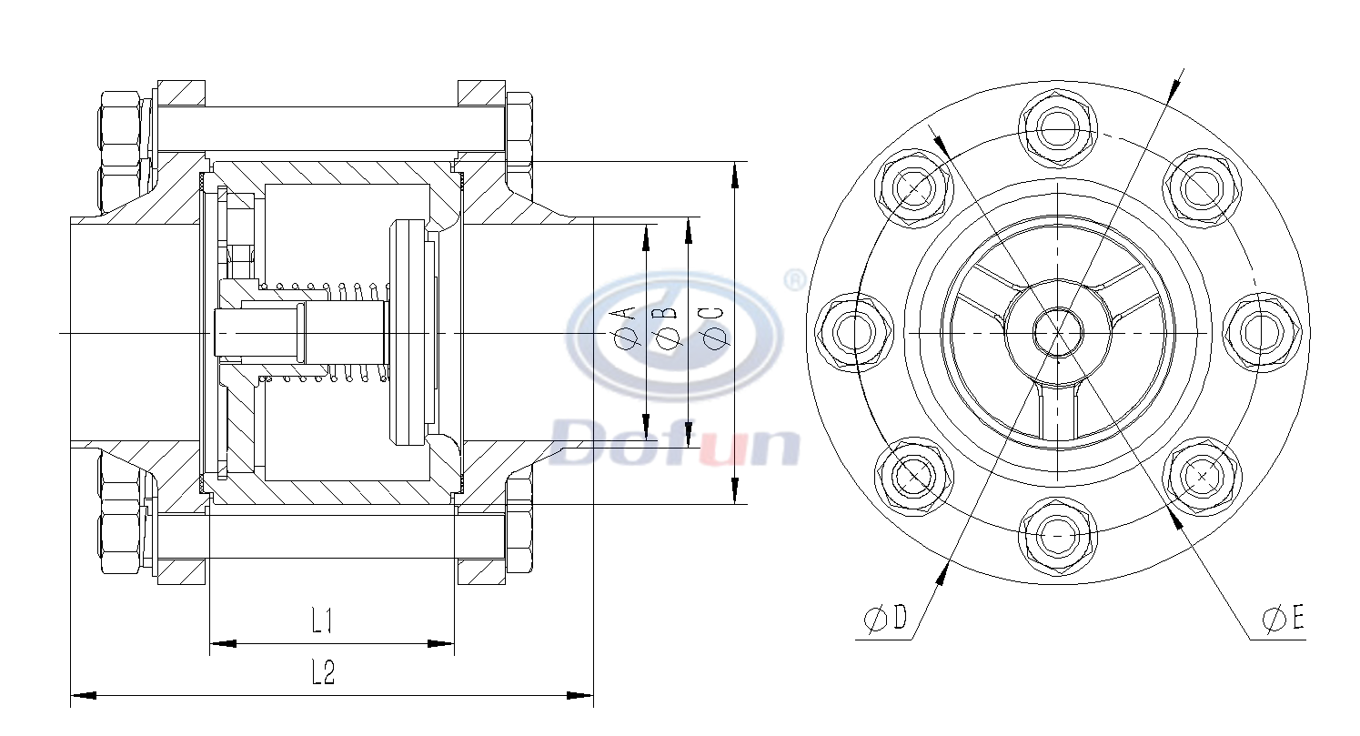 Neck Flange Straight Check Valve